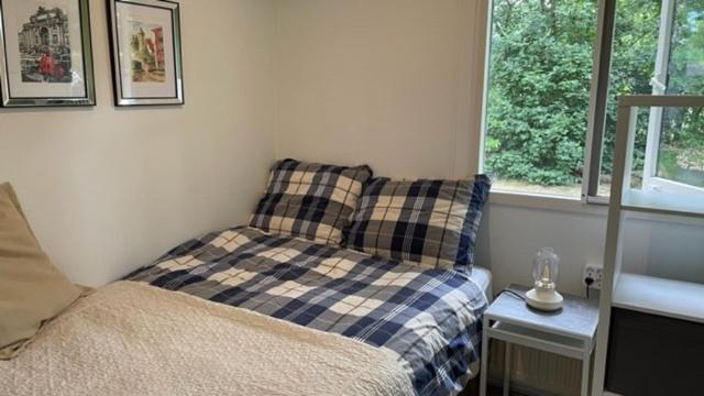 דנקאמפ Vakantiewoning Dinkelhofje Met Gratis Linnen מראה חיצוני תמונה